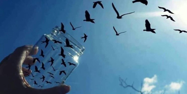افزایش ۲۰ درصدی آزادی زندانیان محکوم به جرایم غیرعمد استان البرز