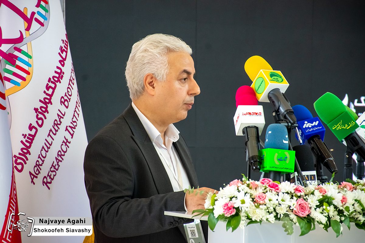 ارتقای بهرهوری و کاهش مصرف منابع با بهرهبرداری از هوش مصنوعی