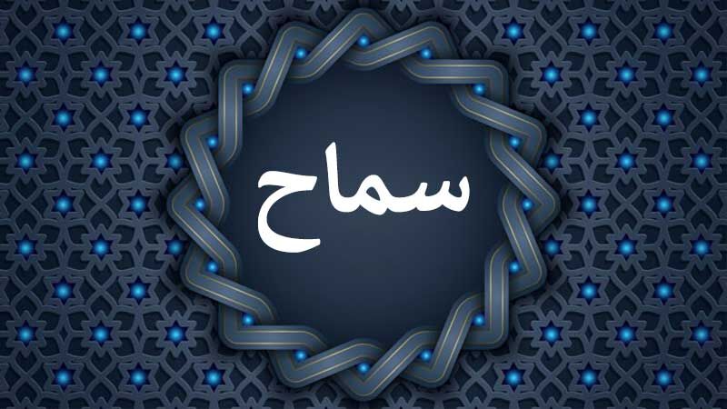 اربعین و چالش‌های ساماندهی؛ آیا «سماح» گره از کار زائران می‌گشاید؟